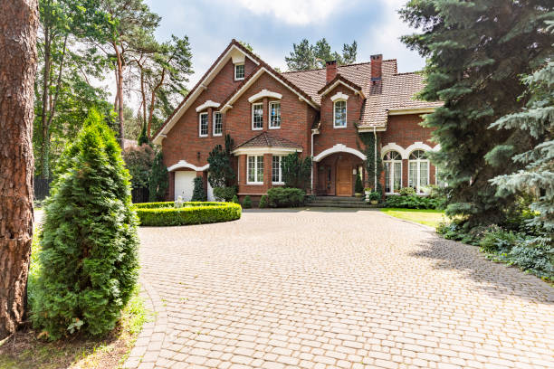 Best Driveway Paving Near Me  in Palestine, IL