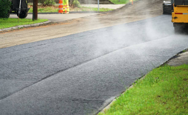 Best Local Driveway Pavers  in Palestine, IL